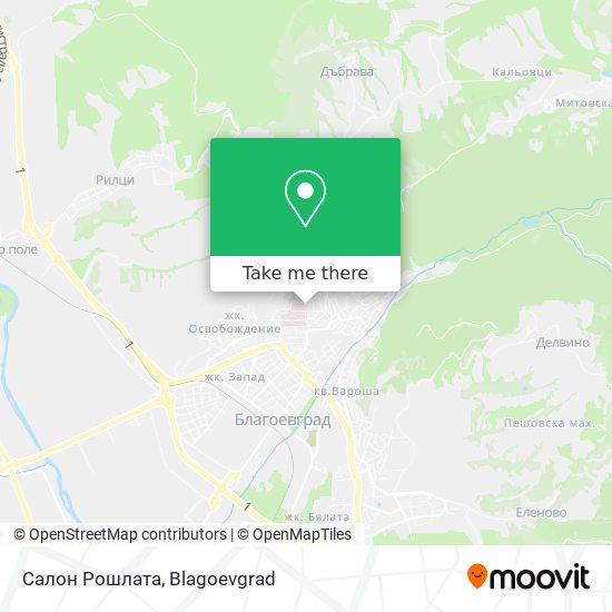 Салон Рошлата map