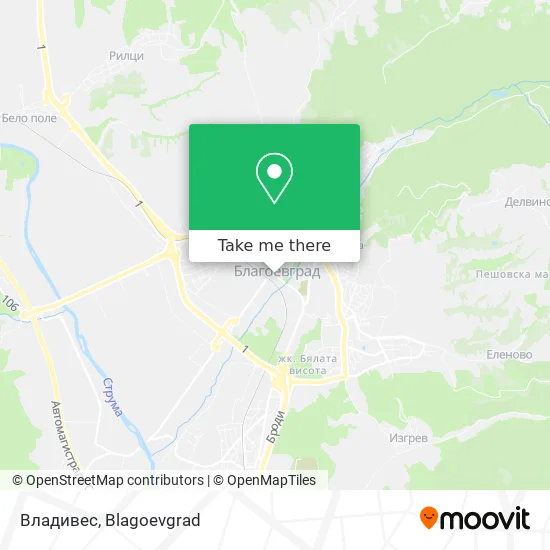 Карта Владивес