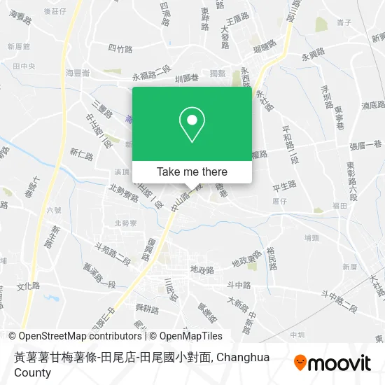 黃薯薯甘梅薯條-田尾店-田尾國小對面 map