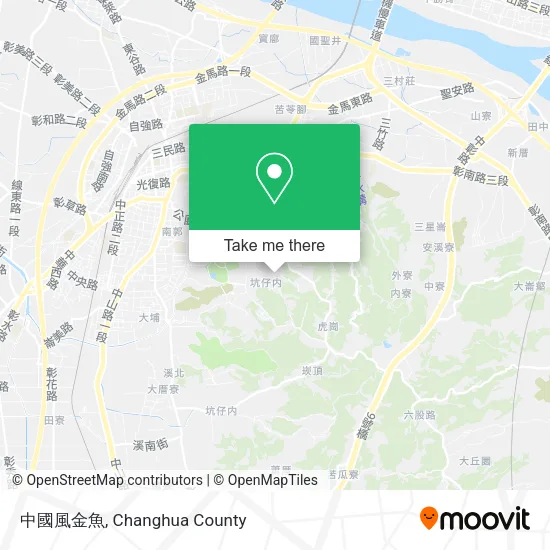 中國風金魚地圖