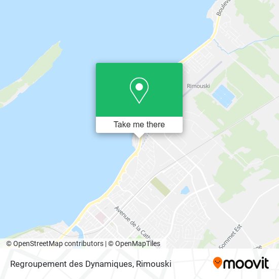 Regroupement des Dynamiques map