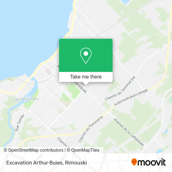 Excavation Arthur-Buies map