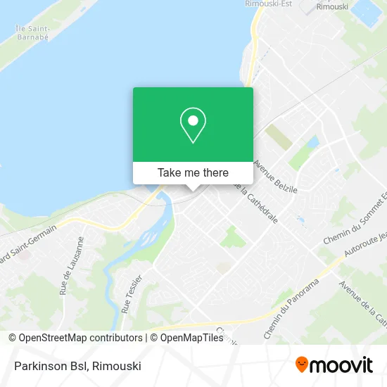 Parkinson Bsl map