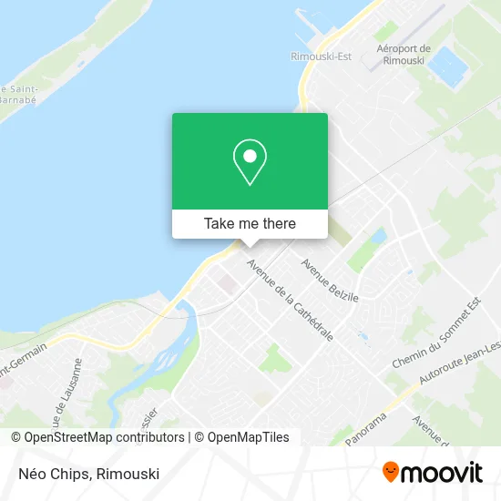Néo Chips map