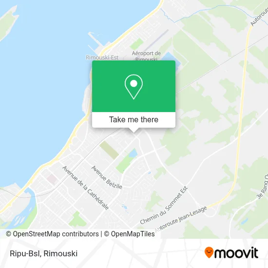 Ripu-Bsl map