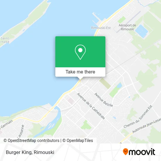 Burger King map