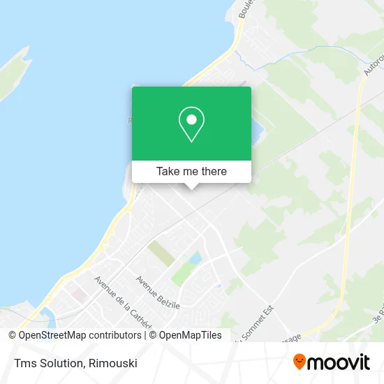 Tms Solution map