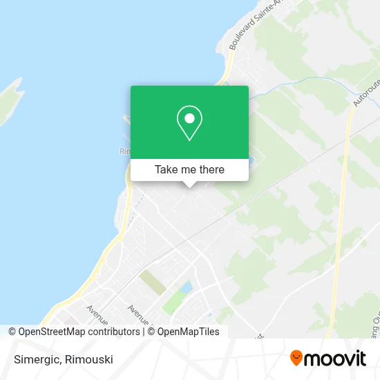 Simergic map