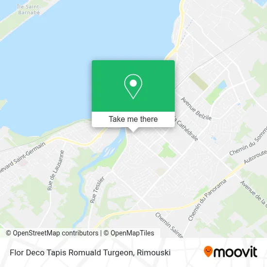 Flor Deco Tapis Romuald Turgeon map