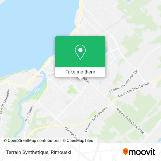 Terrain Synthetique map