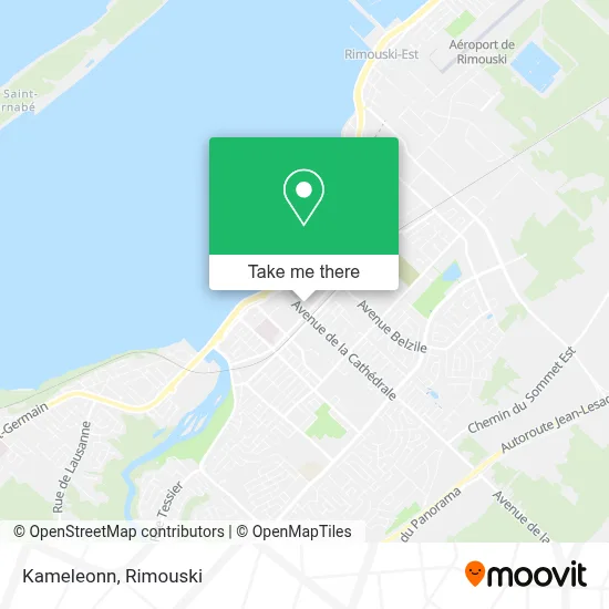 Kameleonn map