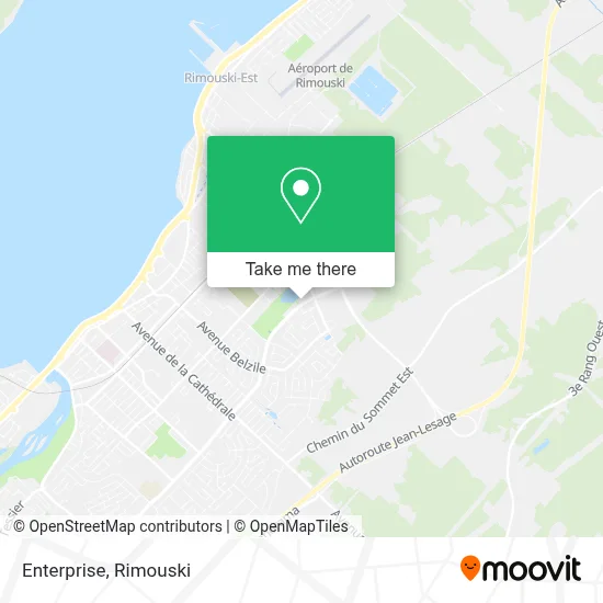 Enterprise map