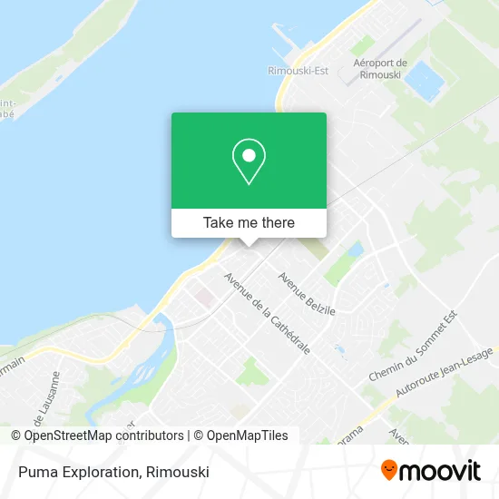Puma Exploration map
