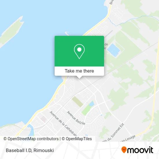 Baseball I.D map