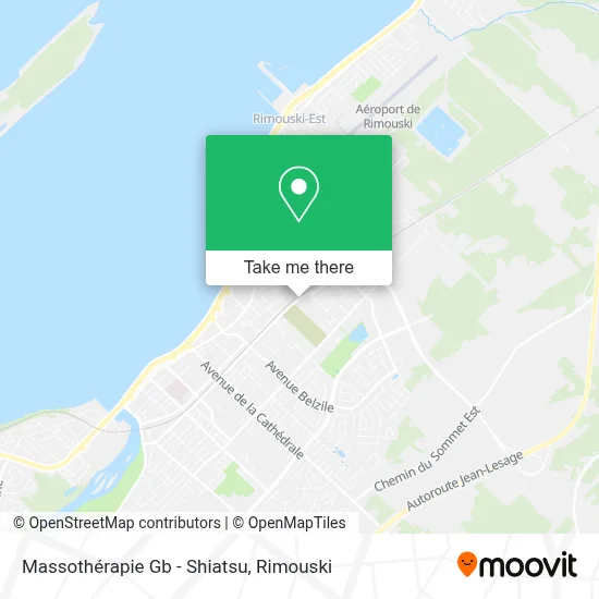 Massothérapie Gb - Shiatsu map