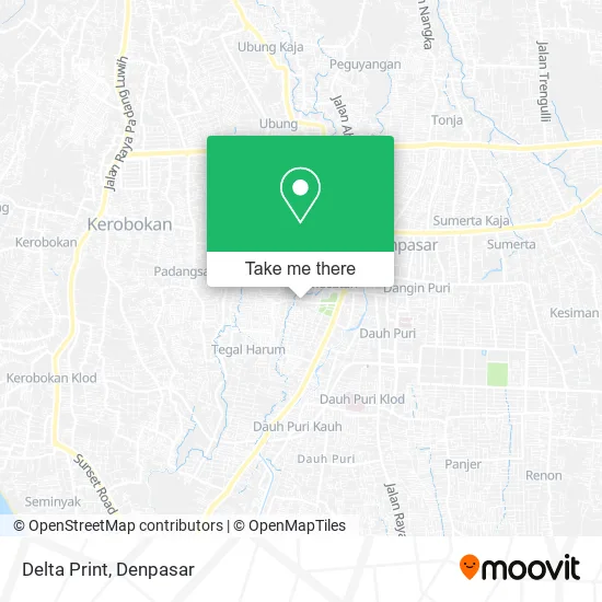 Delta Print map