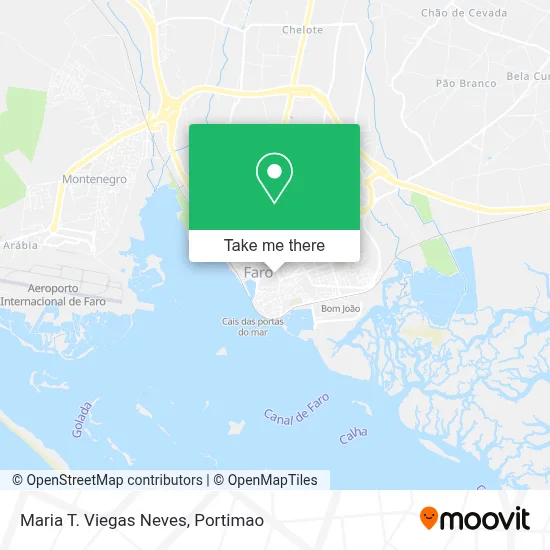 Maria T. Viegas Neves map
