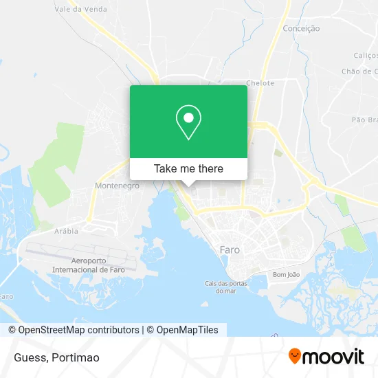 Guess map