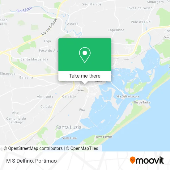 M S Delfino map