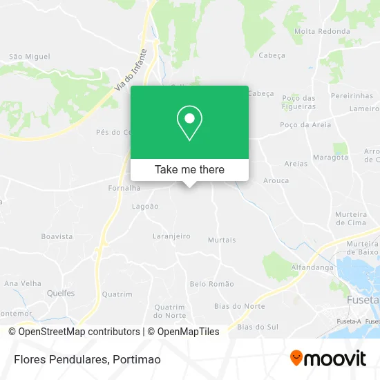 Flores Pendulares map
