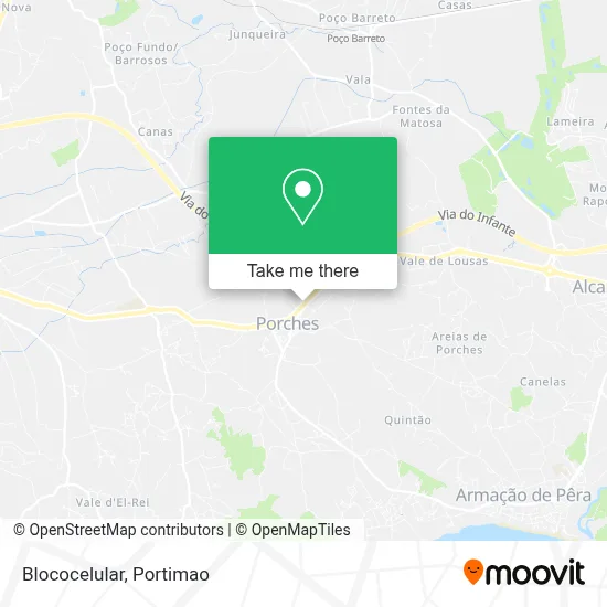 Blococelular map