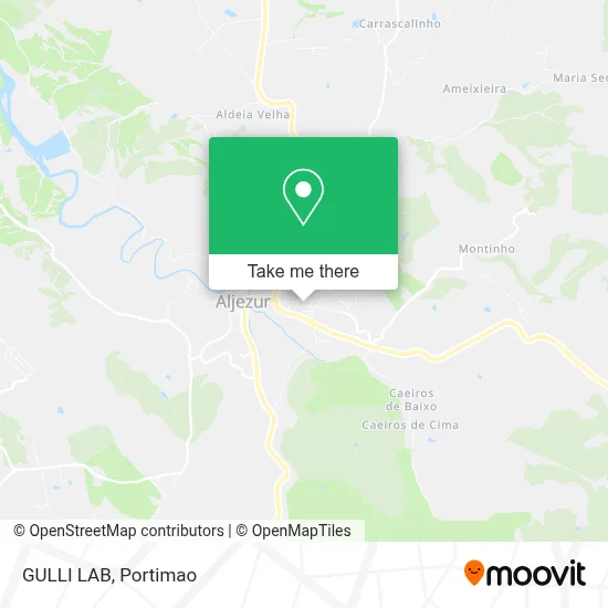 GULLI LAB map
