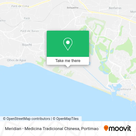 Meridian - Medicina Tradicional Chinesa map
