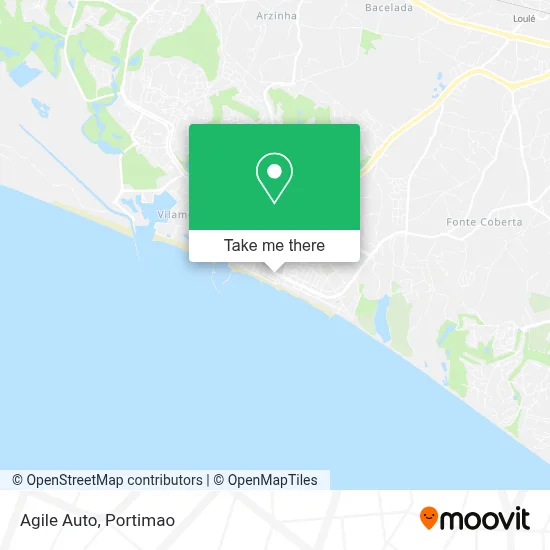 Agile Auto map