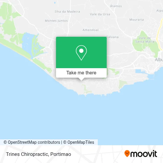 Trines Chiropractic map