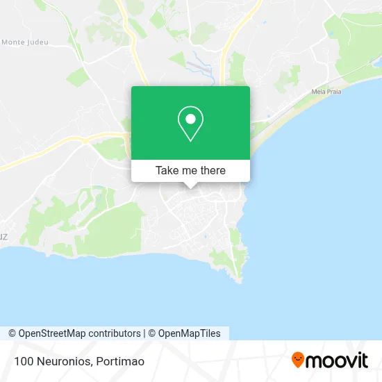 100 Neuronios map
