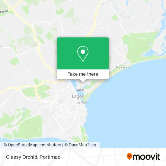 Classy Orchid map