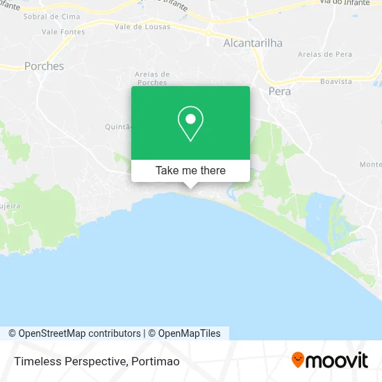 Timeless Perspective map