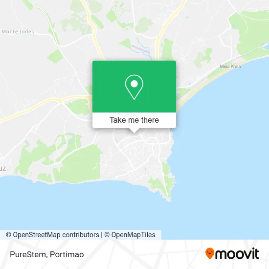 PureStem map