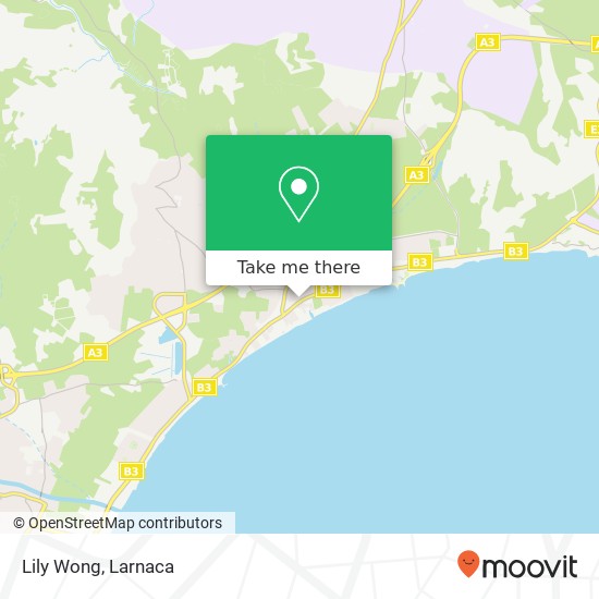 Lily Wong map