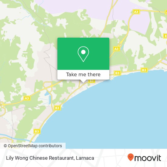 Lily Wong Chinese Restaurant χάρτης