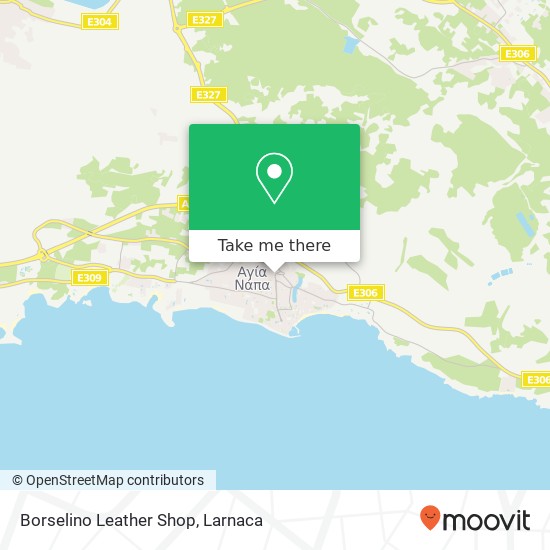 Borselino Leather Shop map