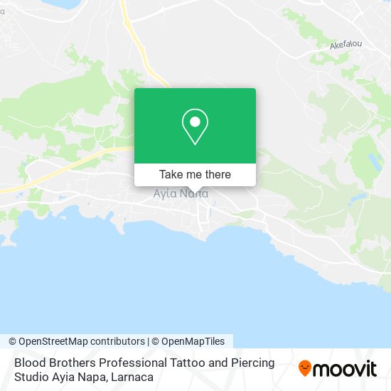 Blood Brothers Professional Tattoo and Piercing Studio Ayia Napa χάρτης