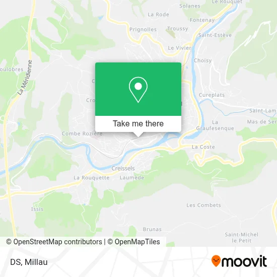 DS map