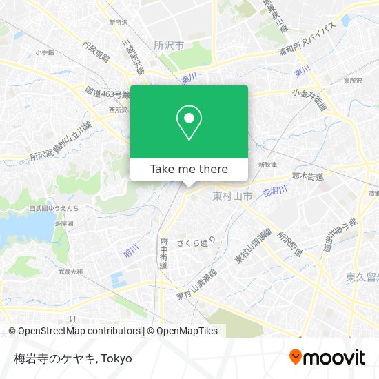 梅岩寺のケヤキ map