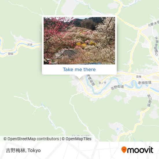 Yoshino Plum Grove map