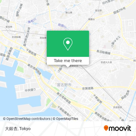 大銀杏 map