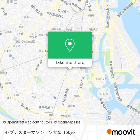 セブンスターマンション大森 map