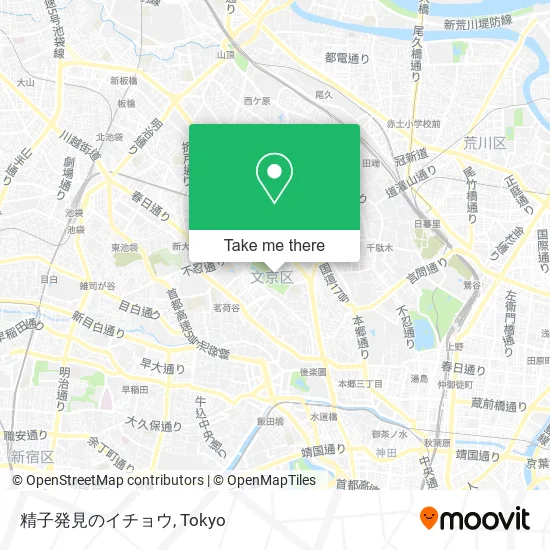 精子発見のイチョウ map