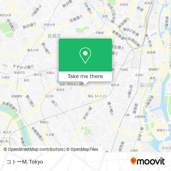 コトーM map