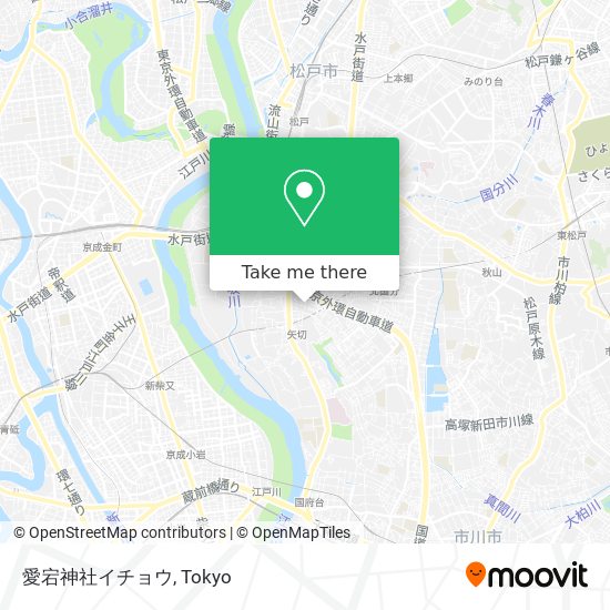 愛宕神社イチョウ map