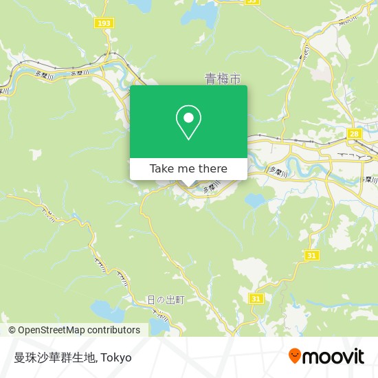 曼珠沙華群生地 map