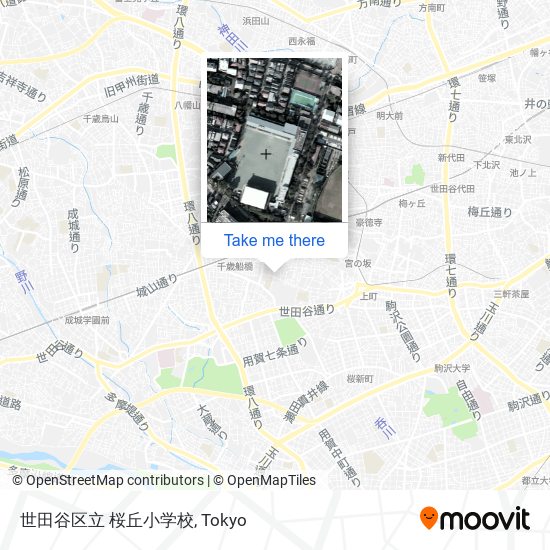 世田谷区立 桜丘小学校 map
