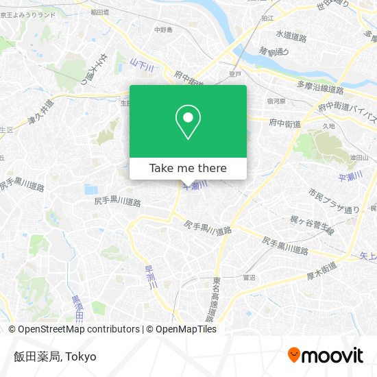 飯田薬局 map