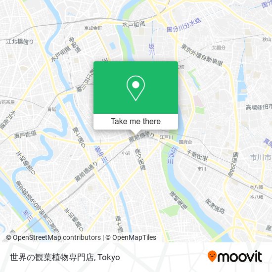 世界の観葉植物専門店 map