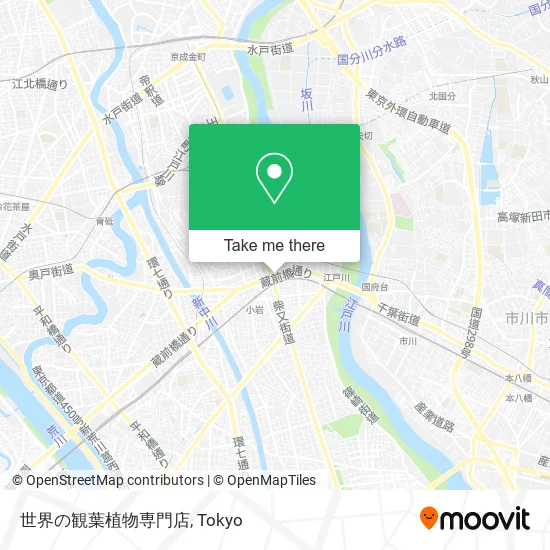 世界の観葉植物専門店 map